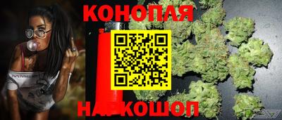 тгк Тара
