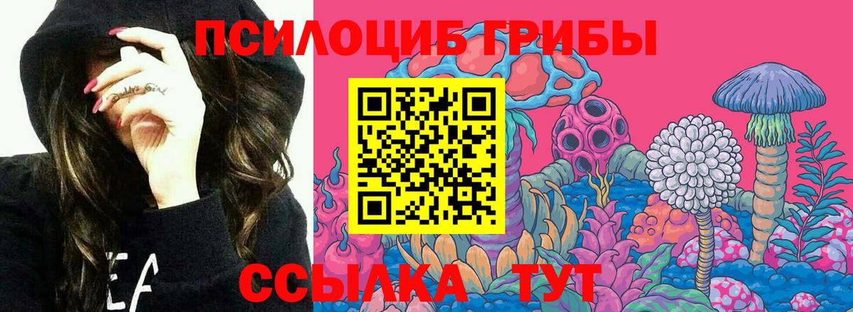 Обнинск  Псилоцибиновые грибы прущие грибы  купить закладку  Вход с VPN  Псилоцибиновые грибы MAGIC MUSHROOMS 